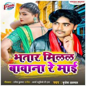 的专辑Bhatar Milal Bawana Re Maai