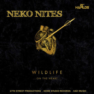 ดาวน์โหลดและฟังเพลง Wild Life พร้อมเนื้อเพลงจาก Neko Nites