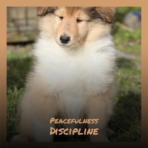 收聽Mher Kassu的Mislay Operate歌詞歌曲