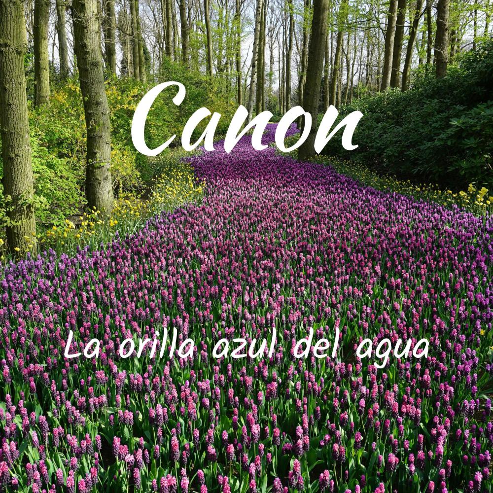 Canon