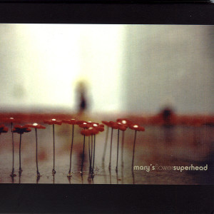 ดาวน์โหลดและฟังเพลง I Sing For You พร้อมเนื้อเพลงจาก Mary's Flower Superhead