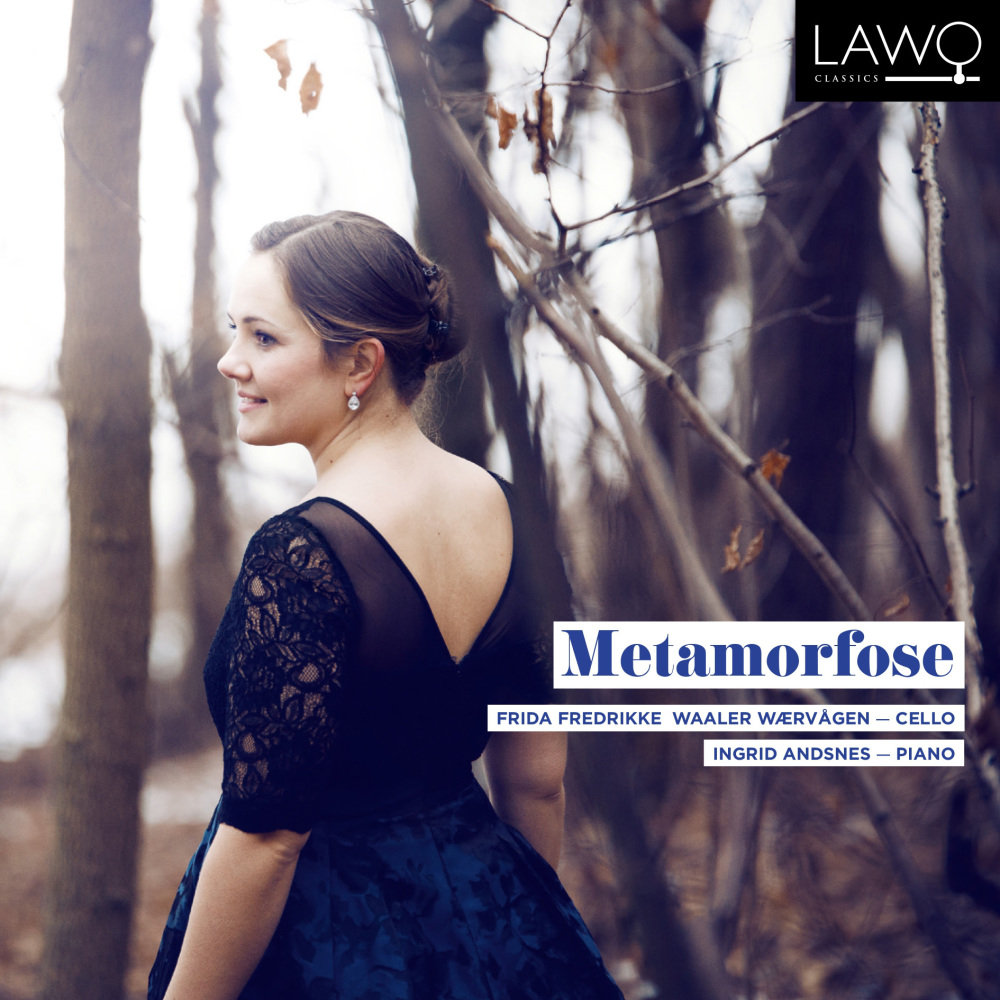 Cellosonate, Op. 36: III. Allegro