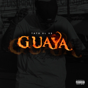 Tato El X5的专辑Guaya (Explicit)