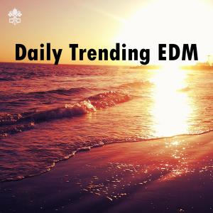 Album Daily Trending EDM from Various Artists
