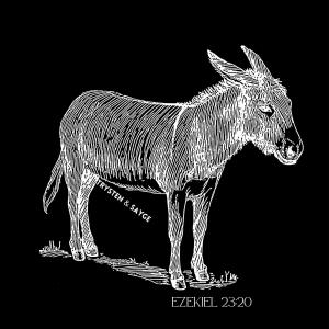Trysten的專輯Ezekiel 23:20 (Donkey Breakout) Live From COYK