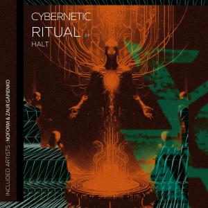 收聽Halt.的Cybernetic Ritual (Noform Remix)歌詞歌曲