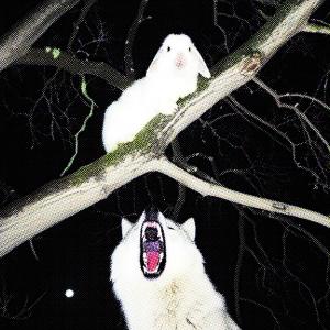ดาวน์โหลดและฟังเพลง Wolves (Explicit) พร้อมเนื้อเพลงจาก Darrow