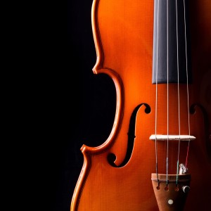 Calm Music Guru的專輯Classical Orchestra for a Cat’s Peaceful Night