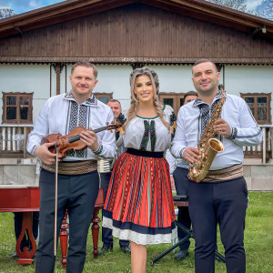 Listen to Câte Zile Voi Trăi song with lyrics from Andreea Spulber
