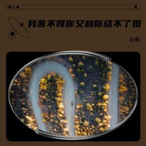 Album 我舍不得你又和你结不了婚 from 
