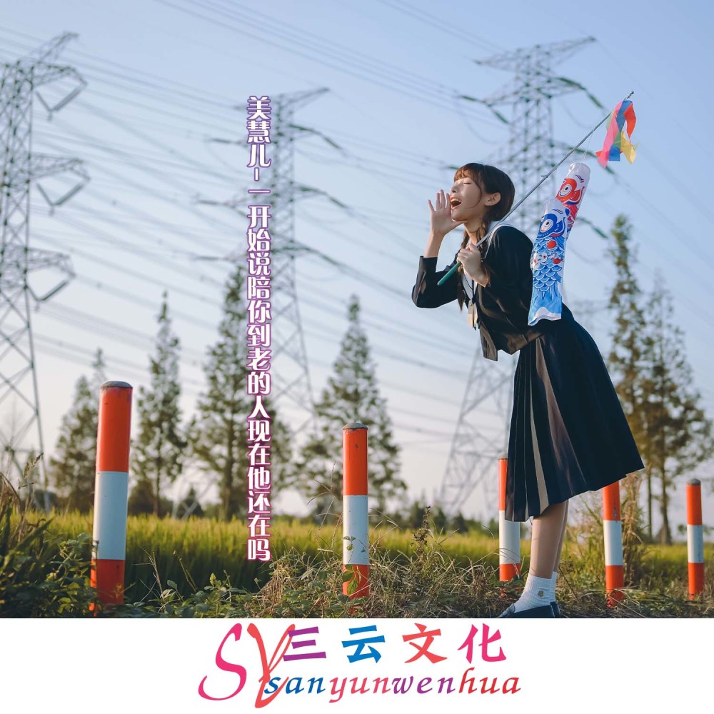 重低音硬曲 (抖音热播版)