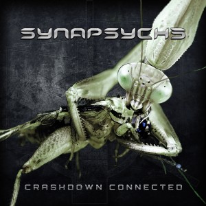 ดาวน์โหลดและฟังเพลง Your Sweet 666 (Explicit) พร้อมเนื้อเพลงจาก Synapsyche