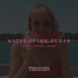 Listen to Watermelon Sugar song with lyrics from TENDER