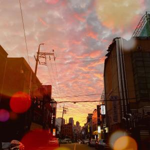 收聽Muzie的너의 마음속엔 내가 없지만 (Inst.)歌詞歌曲