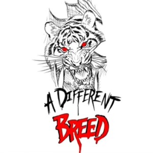 Album DIFFERENT BR33D (Explicit) from 