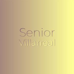 ดาวน์โหลดและฟังเพลง Senior Villarreal พร้อมเนื้อเพลงจาก Isen Giga