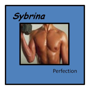 Dengarkan Perfection lagu dari Sybrina dengan lirik