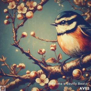 Album Aves from Vidalima