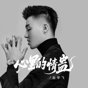 Album 心里的情蛊 from 赵学飞