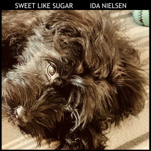 Ida Nielsen的專輯Sweet Like Sugar