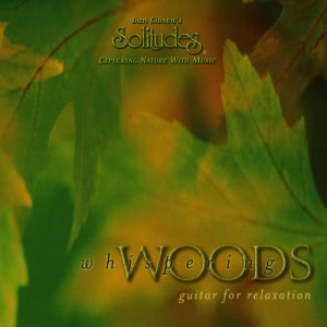 ดาวน์โหลดและฟังเพลง Revitalise พร้อมเนื้อเพลงจาก Dan Gibson's Solitudes