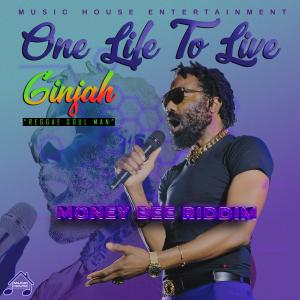 อัลบัม One Life To Live (feat. Ginjah) [Live] ศิลปิน Ginjah