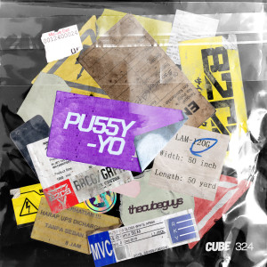 The Cube Guys的專輯Pu55y Yo (Radio Edit)