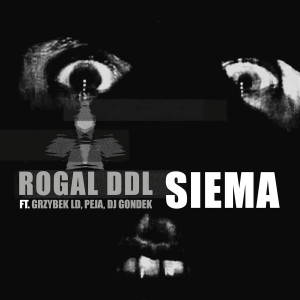 ดาวน์โหลดและฟังเพลง Siema (feat. Grzybek LD, Peja, DJ Gondek) พร้อมเนื้อเพลงจาก Rogal DDL