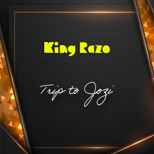 Listen to Trip To Jozi song with lyrics from King Razo