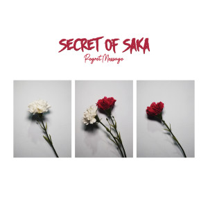 Dengarkan lagu Regret Message nyanyian Secret of Saka dengan lirik