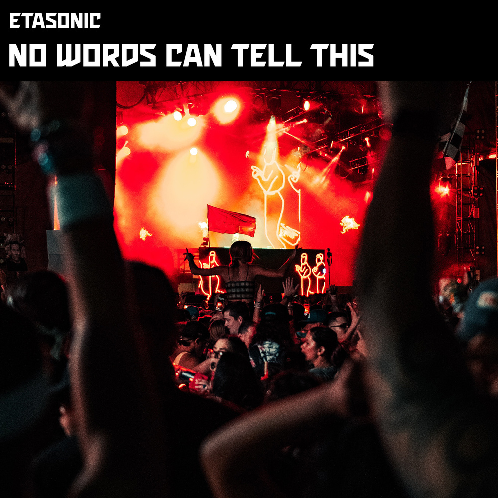 No Words Can Tell This (Radio Edit)