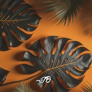 收听Júnior No Beat的Dejavú歌词歌曲