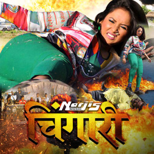 收听Udit Narayan, Pamela Jain的Tohre Jawani Ke Charcha Ba歌词歌曲