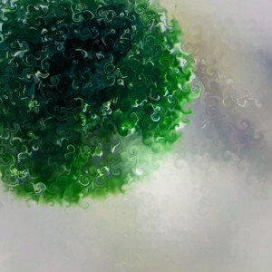 Dengarkan Marimo lagu dari Stolfo Fent dengan lirik