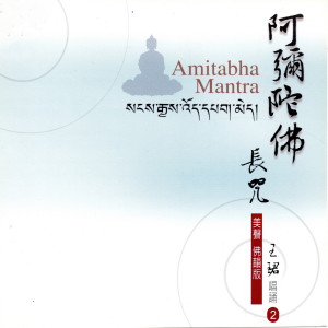 收听王珺的釋迦牟尼佛心咒歌词歌曲