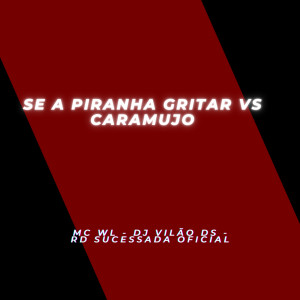 收聽MC WL的Se a Piranha Gritar Vs Caramujo (Explicit)歌詞歌曲