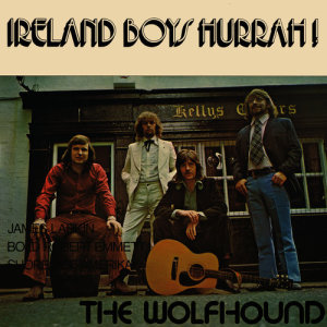 The Wolfhound的專輯Ireland Boys Hurrah!