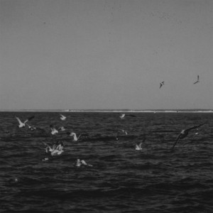 Listen to Sodus song with lyrics from Cemeteries