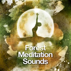 ดาวน์โหลดและฟังเพลง Woodland Life พร้อมเนื้อเพลงจาก Outside Broadcast Recordings