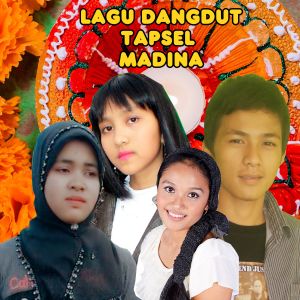 อัลบัม Lagu Dangdut Tapsel Madina Terbaik ศิลปิน Dedy Gunawan