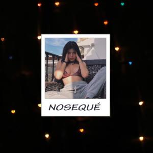Album NOSEQUÉ (Explicit) from Luis Roca