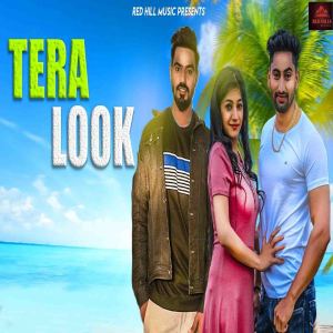 Listen to Tera Look song with lyrics from Raj Mawer