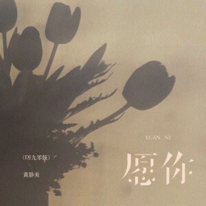 Album 愿你（DJ九零版） from 黄静美