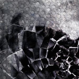 ดาวน์โหลดและฟังเพลง Petrichor พร้อมเนื้อเพลงจาก Eight Eyed Orchid