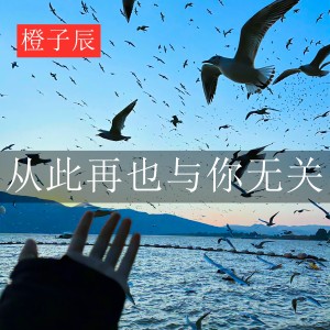 Listen to 从此再也与你无关 song with lyrics from 橙子辰