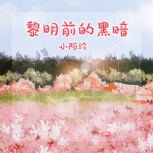 Album 黎明前的黑暗 (DJ何友版) oleh 小阿玲