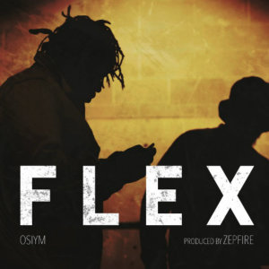 Osiym的专辑Flex (Explicit)