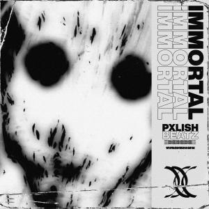 收聽Pxlish Beatz的IMMORTAL (feat. ProdByLiam)歌詞歌曲