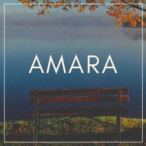Album Will Never Disappear from Amara