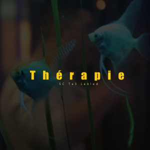 ดาวน์โหลดและฟังเพลง Thérapie (Explicit) พร้อมเนื้อเพลงจาก SC Ta3 Lebled